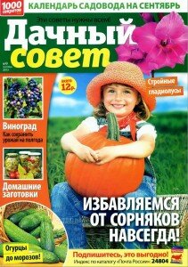 скачать бесплатно DachnSovet 9 2013 DigitalJournals.ru 211x300 Дачный совет #9 (сентябрь 2013)